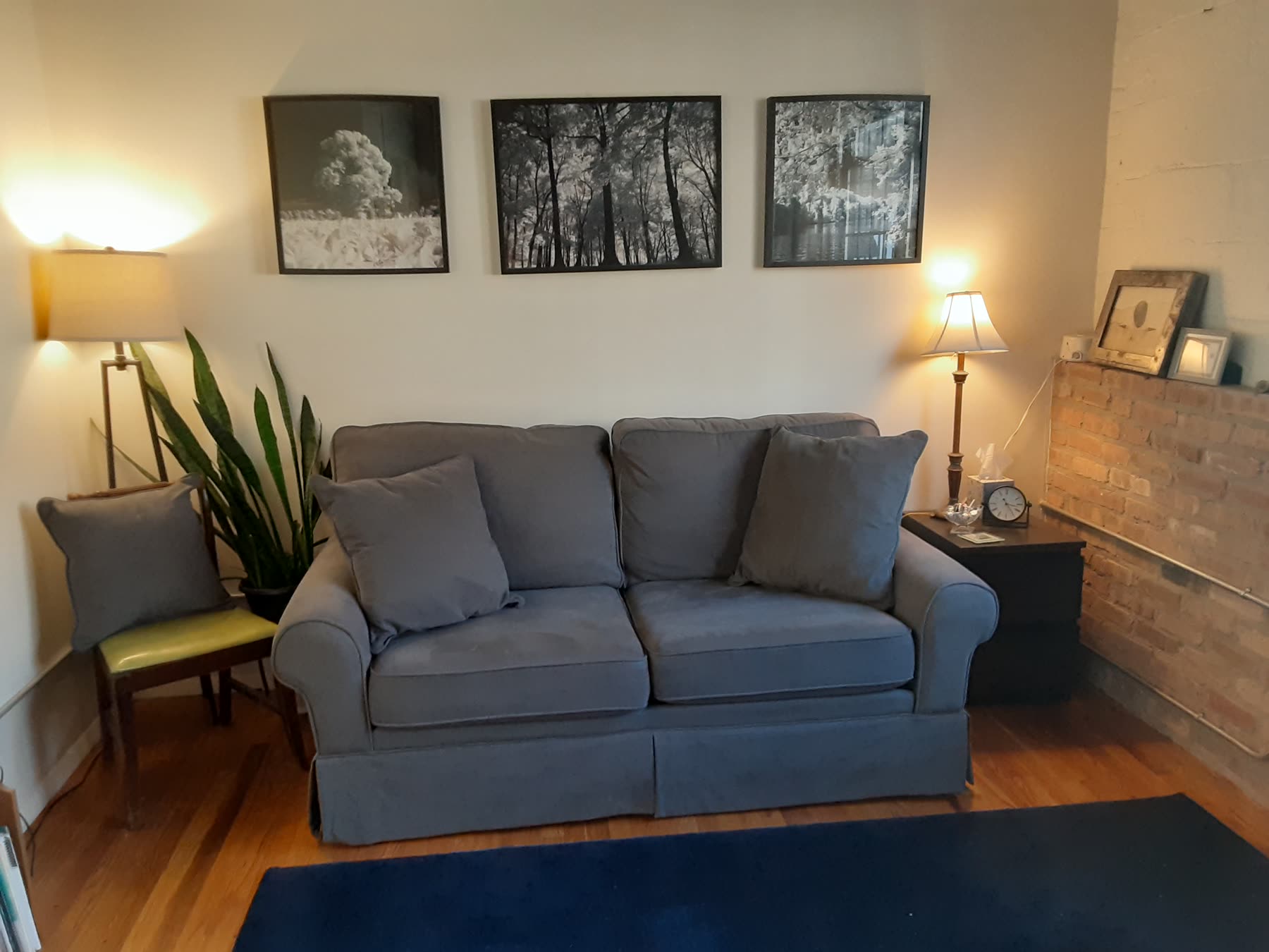 The counseling office: a soft grey sofa under three framed black-and-white nature prints, warm lamplight, plants, and exposed brick